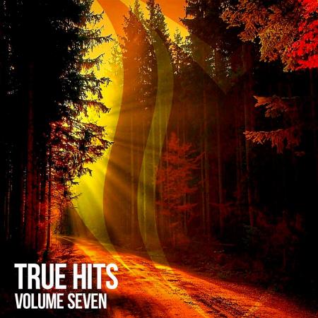 VA | True Hits Vol 7 (2022) MP3