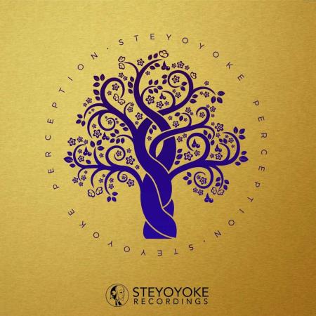 VA | Steyoyoke Perception Vol 09 (2022) MP3