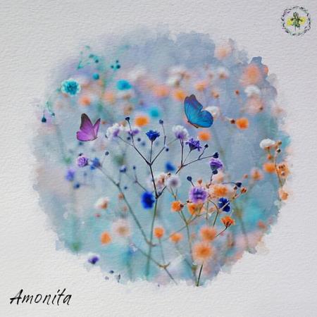 VA | Amonita - Wilwarin (2022) MP3