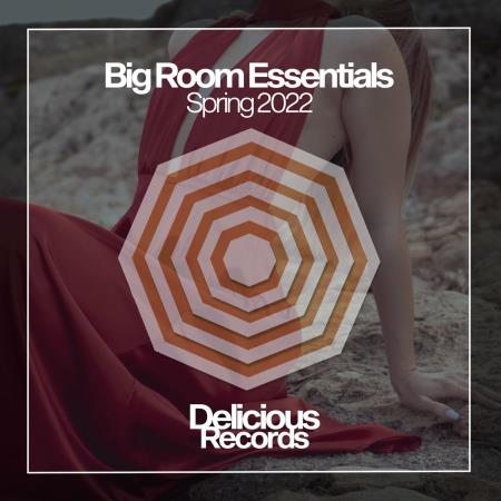 VA | Big Room Essentials 2022 (2022) MP3