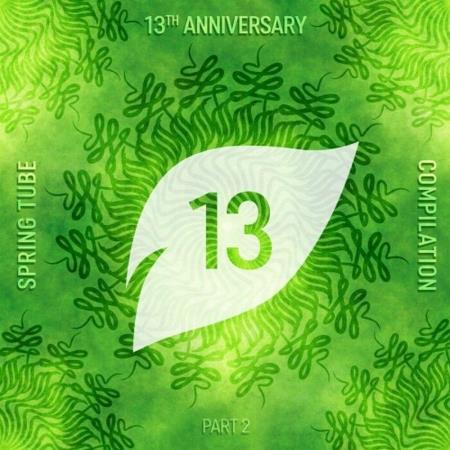 VA | Spring Tube 13th Anniversary Compilation Part 2 (2022) MP3