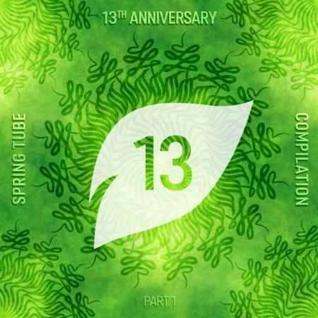 VA | Spring Tube 13th Anniversary Compilation Part 1 (2022) MP3