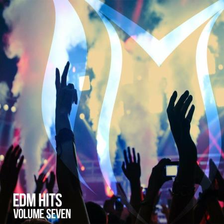 VA | EDM Hits Vol 7 (2022) MP3