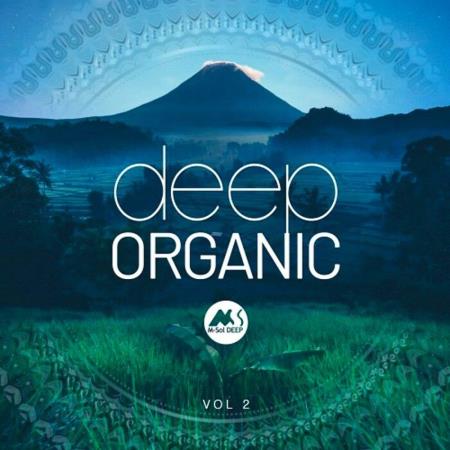 VA | Deep Organic Vol 2 (2023) MP3