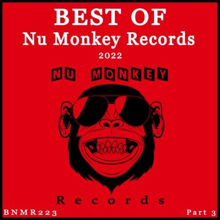 VA | Best Of Nu Monkey Records 2022 Pt. 3 (2023) MP3