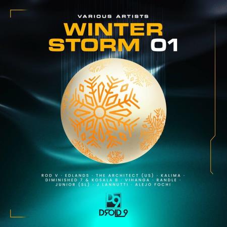 VA | Winter Storm (2023) MP3