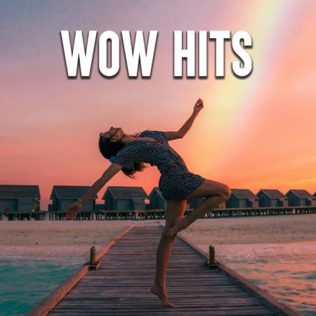 VA | Wow Hits (2023) MP3