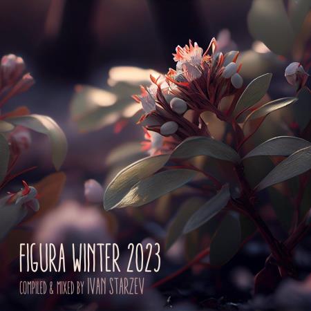 VA | Figura Winter Figura Music (2023) MP3