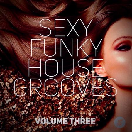 VA | Sexy Funky House Grooves Volume Three (2023) MP3