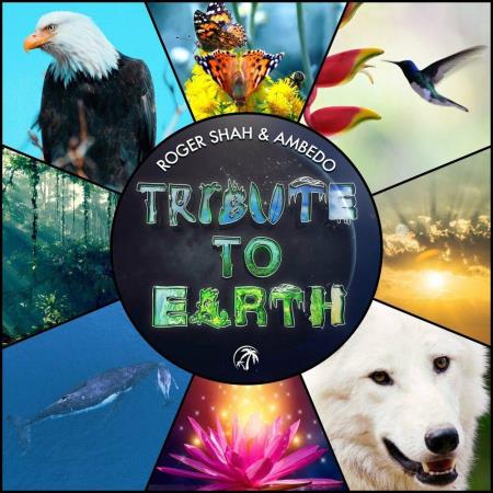 VA | Roger Shah & Ambedo - Tribute To Earth (2023) MP3