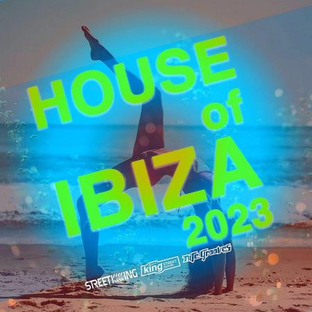 VA | House Of Ibiza 2023 (2023) MP3