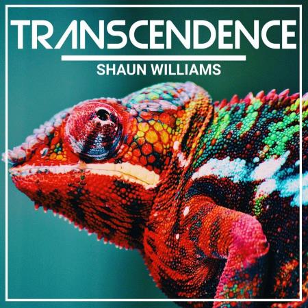 VA | Shaun Williams - Transcendence (2023) MP3
