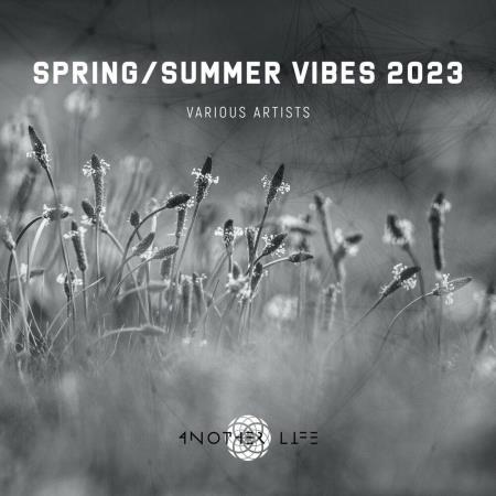 VA | Spring/Summer Vibes 2023 (2023) MP3
