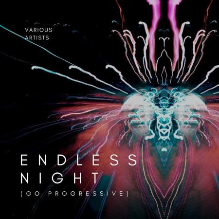 VA | Endless Night (Go Progressive) (2023) MP3