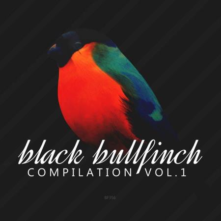 VA | Black Bullfinch Compilation Vol 1 (2023) MP3