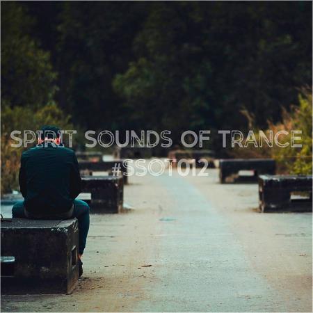 VA | Spirit Sounds Of Trance #012 (Mixed by SounEmot) (2023) MP3