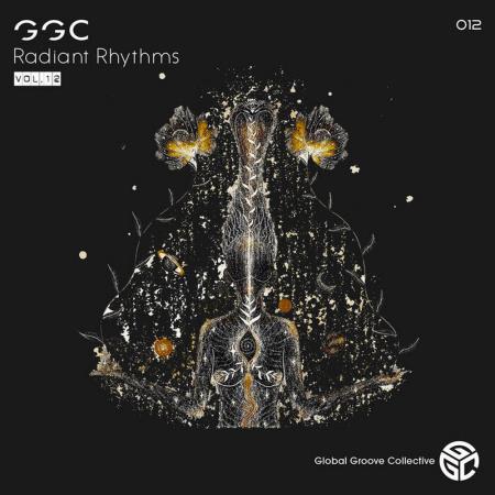 VA | Stan Kolev - Radiant Rhythms Vol 12 (2023) MP3
