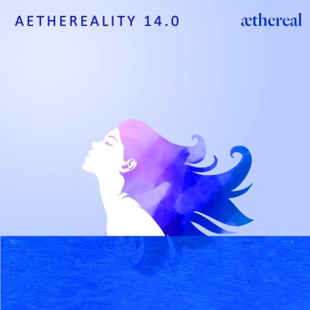VA | Aethereality 14.0 (2023) MP3