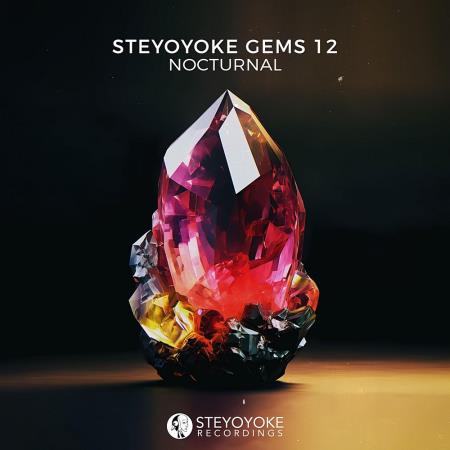 VA | Steyoyoke Gems Nocturnal 12 (2023) MP3