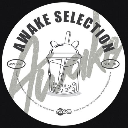 VA | AWK Selection, Vol. 70 (2023) MP3