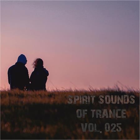 VA | Spirit Sounds Of Trance Vol 25 (Extended Mixes) (2023) MP3