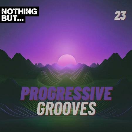 VA | Nothing But... Progressive Grooves Vol 23 (2024) MP3