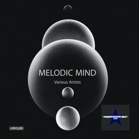 VA | Melodic Mind (2024) MP3