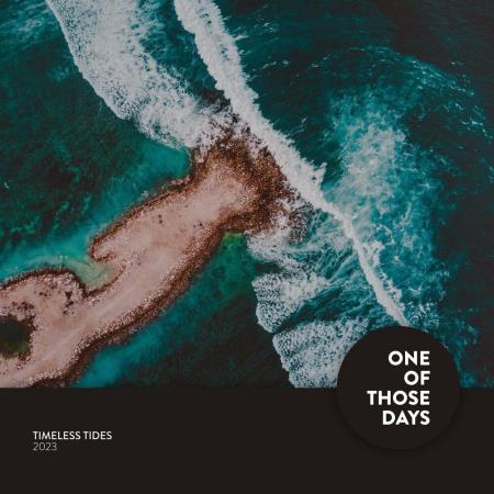 VA | Timeless Tides 2023 (2024) MP3