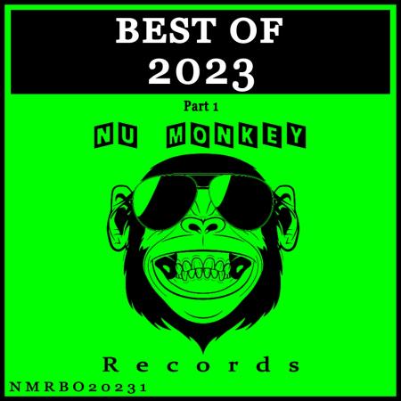 VA | Best Of Nu Monkey Records 2023 Pt 1 (2023) MP3