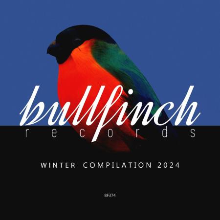 VA | Bullfinch Winter 2024 Compilation (2024) MP3