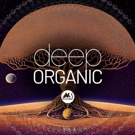 VA | Deep Organic Vol 3 (2024) MP3