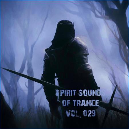 VA | Spirit Sounds Of Trance Vol 29 (Extended Mixes) (2024) MP3