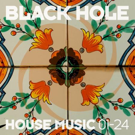 VA | Black Hole House Music 01-24 (2024) MP3