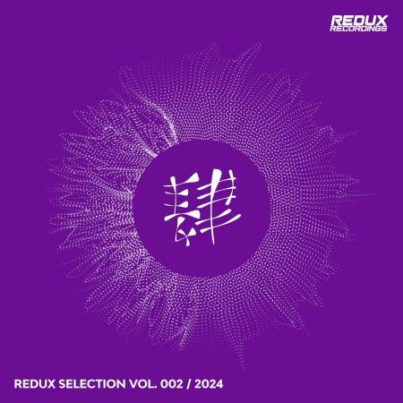 VA | Redux Selection Vol 2 / 2024 (2024) MP3