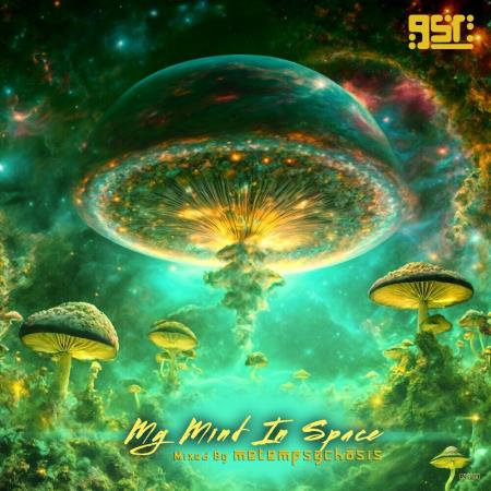 VA | My Mind In Space (Mixed by metempsychosis) (2024) MP3