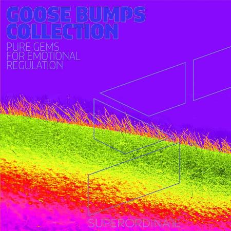 VA | Goose Bumps Collection Vol 11 (2024) MP3