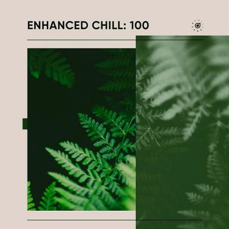 VA | Enhanced Chill 100 (2024) MP3