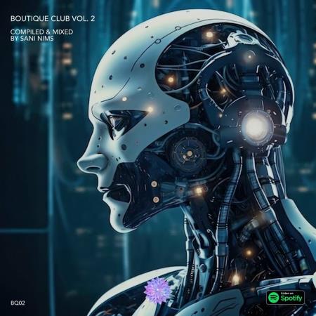 VA | Boutique Club Vol 2 (Compiled & Mixed by SANI NIMS) (2024) MP3