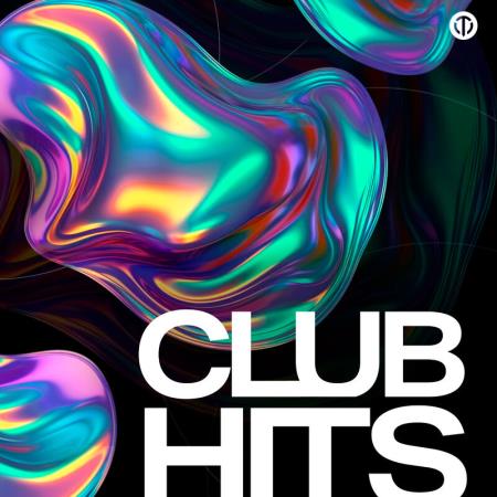 VA | CLUB HITS Dance Music (2024) MP3