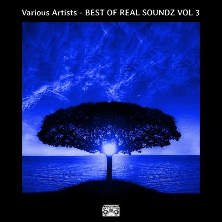 VA | BEST OF REAL SOUNDZ VOL 3 (2024) MP3