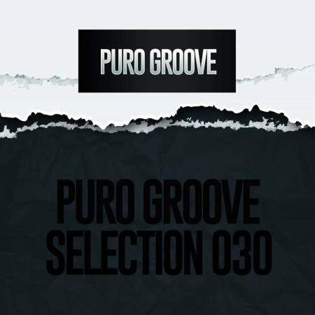VA | Puro Groove Selection 030 (2024) MP3