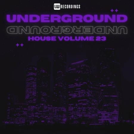 VA | Underground House, Vol 23 (2024) MP3