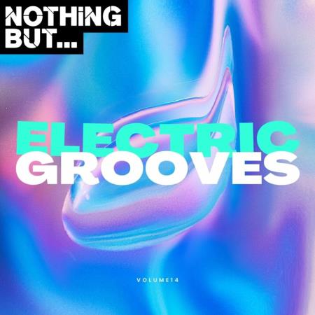 VA | Nothing But... Electric Grooves, Vol 14 (2024) MP3