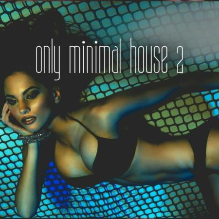 VA | Only Minimal House Vol 2 (2024) MP3