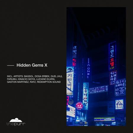 VA | Hidden Gems X (2024) MP3