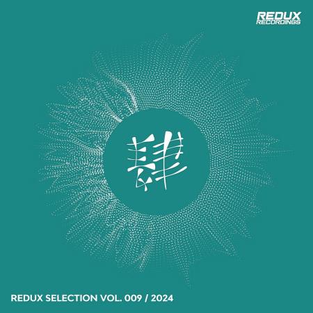 VA | Redux Selection, Vol. 9 / 2024 (2024) MP3