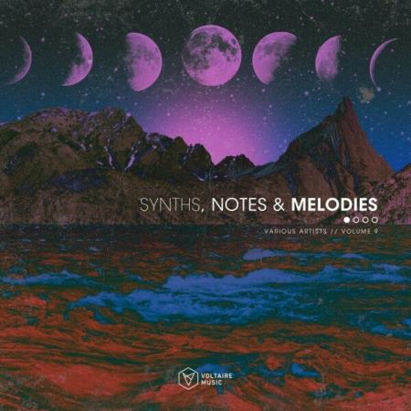 VA | Synths, Notes & Melodies Vol. 9 (2024) MP3