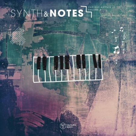 VA | Synths & Notes, Vol 2 (2024) MP3