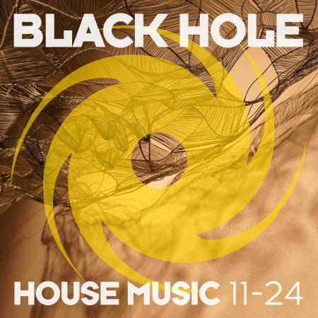 VA | Black Hole House Music 11-24 (2024) MP3