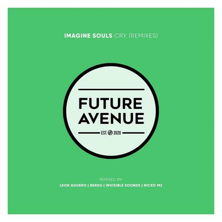 VA | Imagine Souls - Cry (Remixes) (2025) MP3